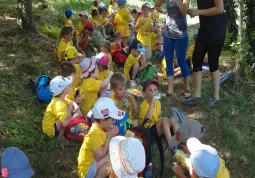  Pic-nic al parco. Tanti i partecipanti al Nido estivo,  all'Estate bimbi e all'Estate ragazzi